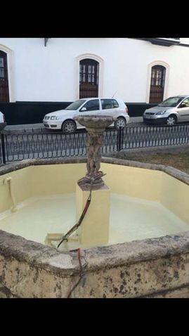 Poliéster Carrasco Piscina con fuente