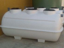 Poliéster Carrasco Cisternas